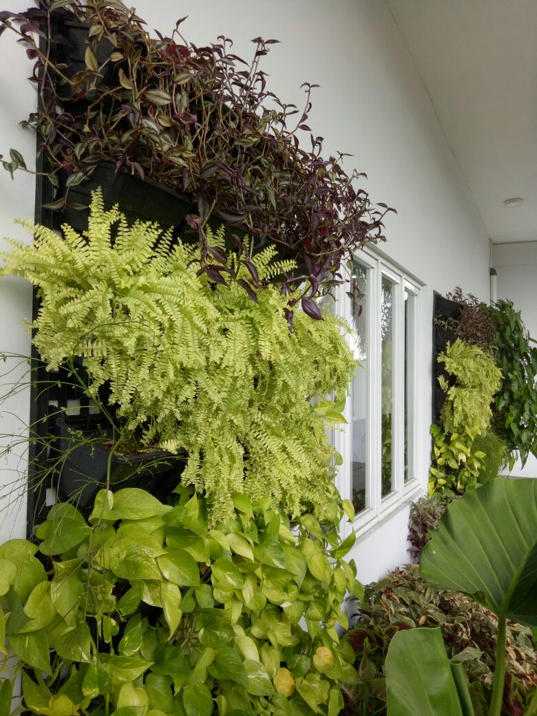 WhatsApp Image 2024-01-05 at 20.22.01